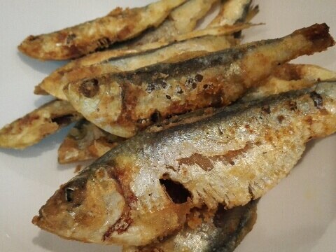 釣った小魚で作る、小魚のカレー唐揚げ